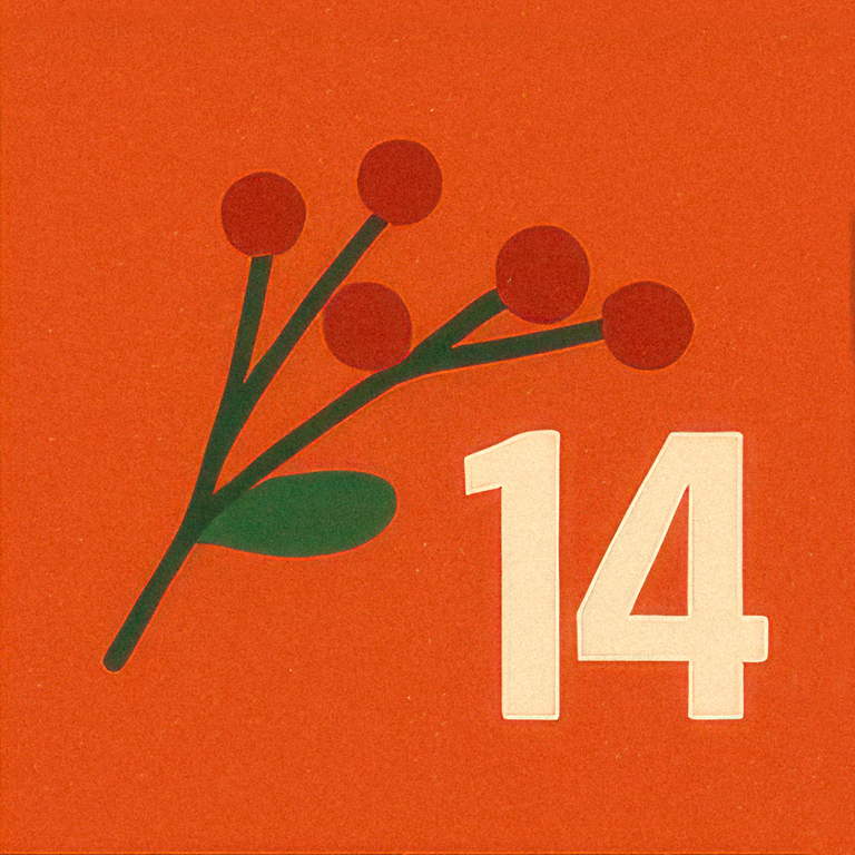 Türchen 14